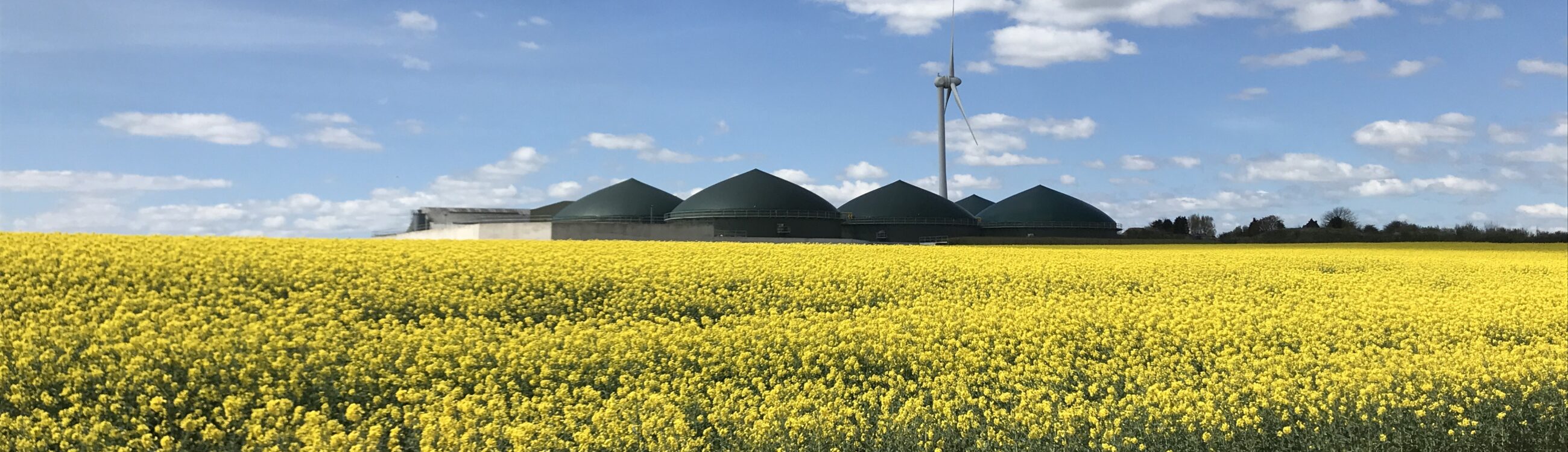 Our Communities