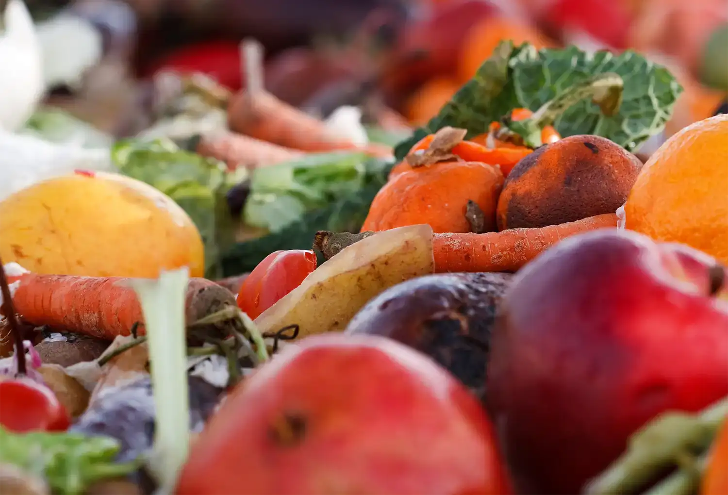 Government invests £295 million to help English councils start separate food waste collections