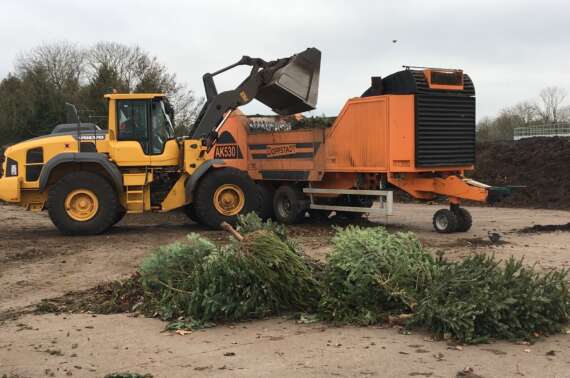 Treecycling: Severn Trent Green Power sprucing up sustainability by recycling Christmas trees across Oxfordshire