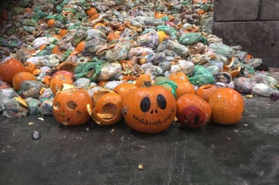 Halloween recycling