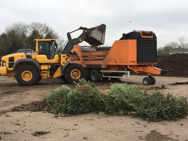 Treecycling: Severn Trent Green Power sprucing up sustainability by recycling Christmas trees across Oxfordshire
