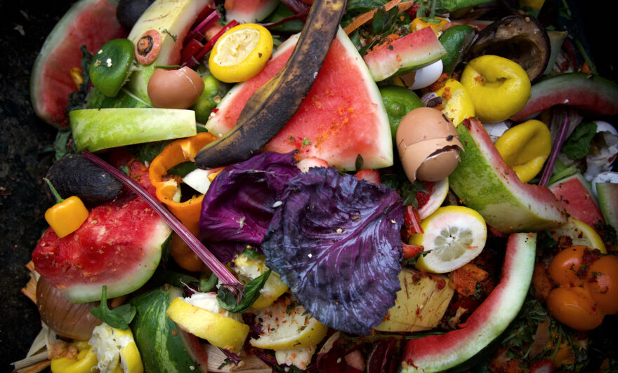 food waste for food producers